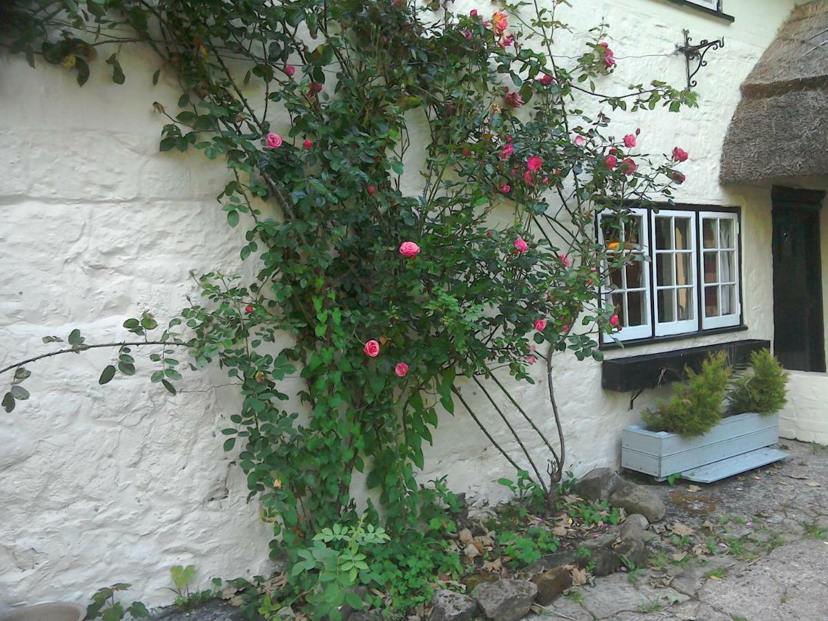 The Crown Inn Alvediston Экстерьер фото