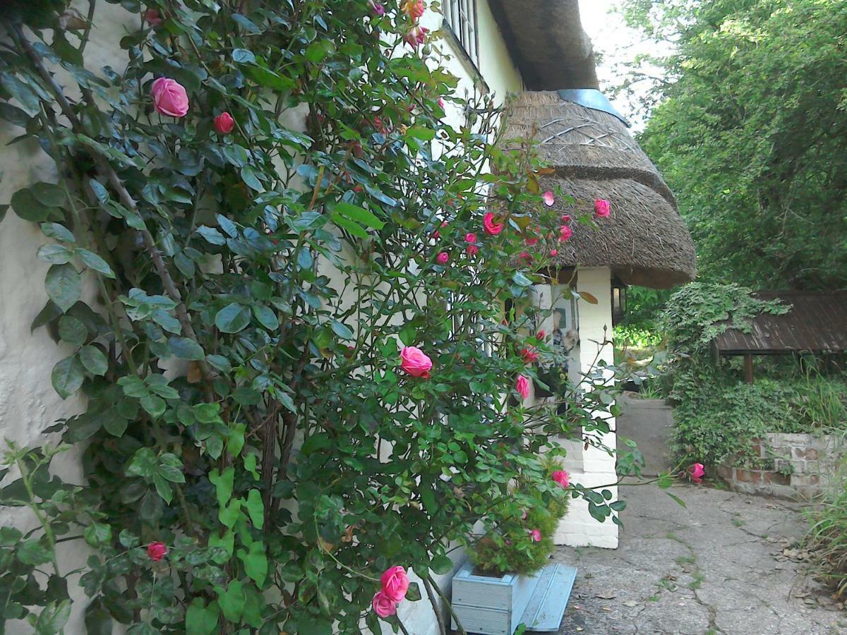 The Crown Inn Alvediston Экстерьер фото
