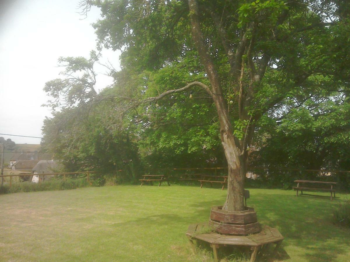 The Crown Inn Alvediston Экстерьер фото