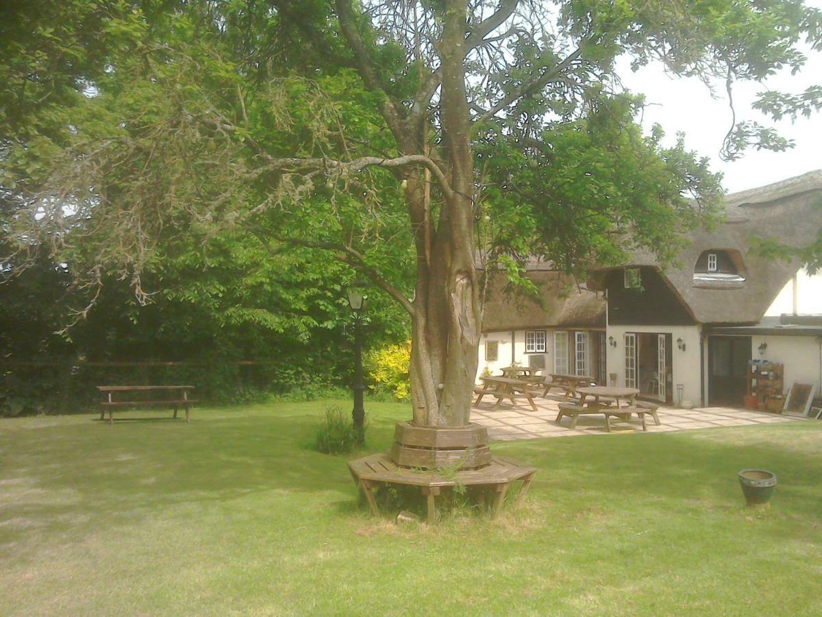 The Crown Inn Alvediston Экстерьер фото